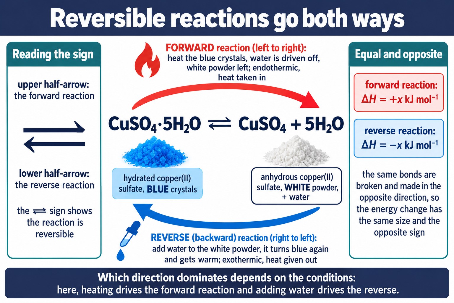 Cycle showing blue hydrated copper sulfate heated to white anhydrous powder and turned blue again by adding water.