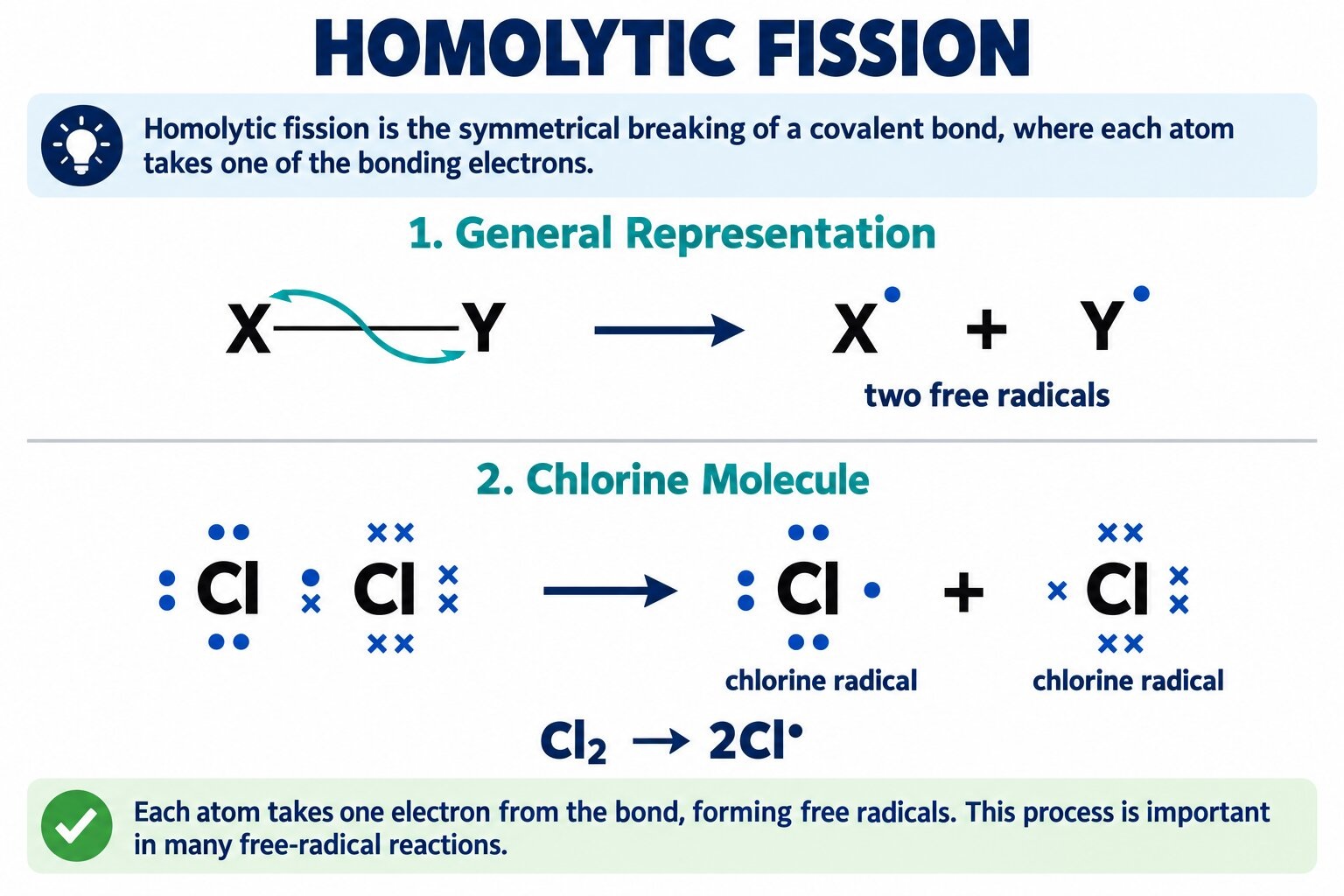 Homolytic fission panel with two clean single-barbed fish-hook arrows landing exactly on X and Y