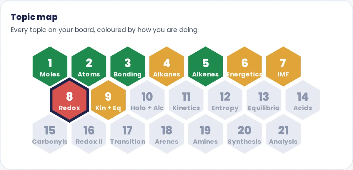 Topic map with every topic coloured by progress (demo profile)
