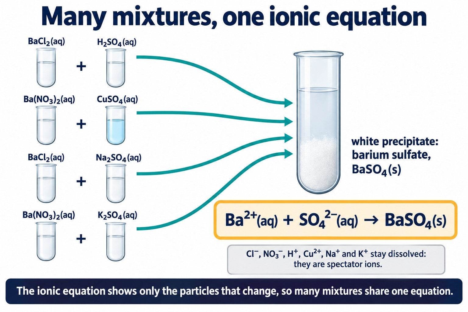 Four different barium and sulfate mixtures all giving the same white precipitate and Ba²⁺(aq) + SO₄²⁻(aq) → BaSO₄(s)