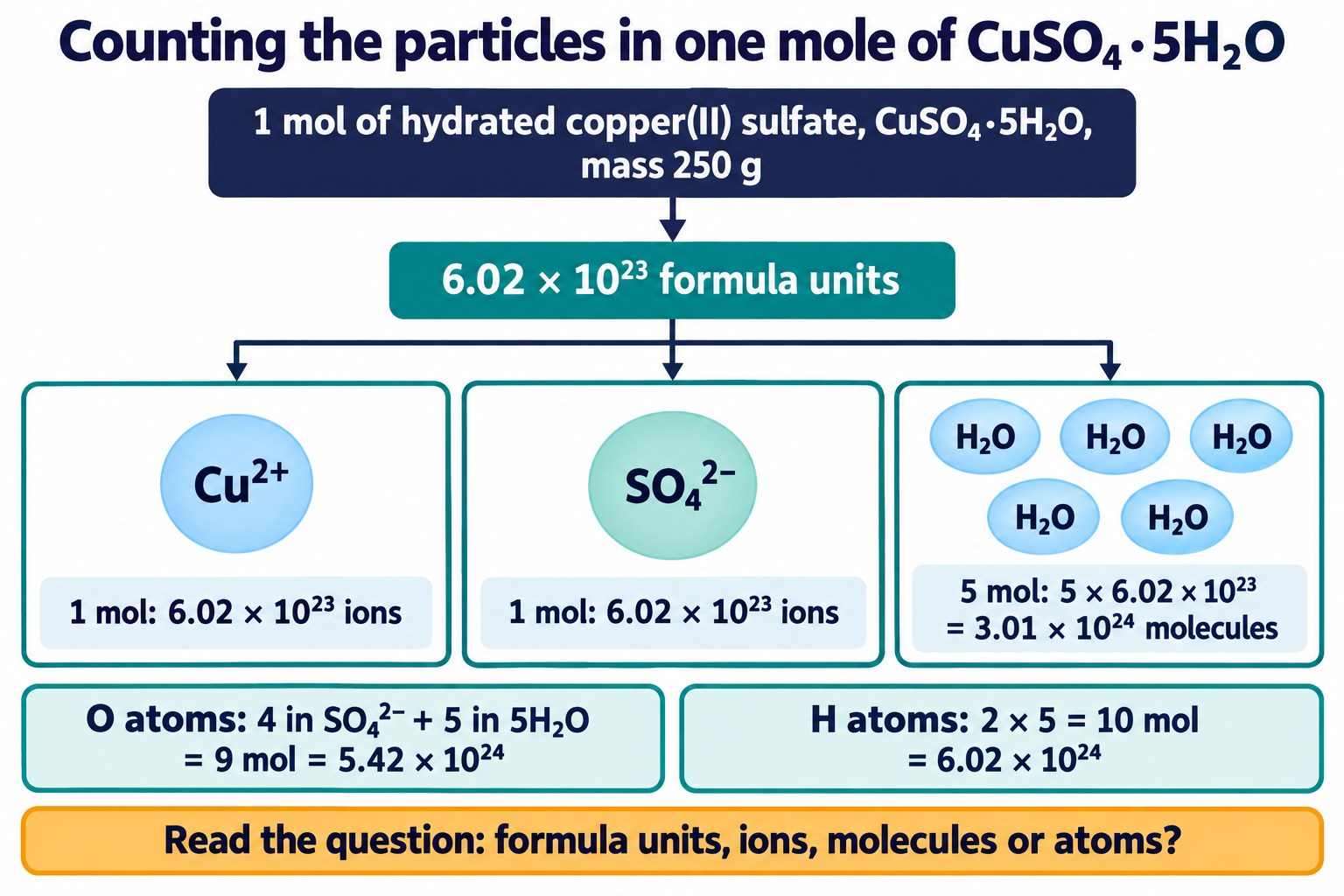 One mole of CuSO₄·5H₂O broken into Cu²⁺ ions, SO₄²⁻ ions and H₂O molecules, with totals of oxygen and hydrogen atoms
