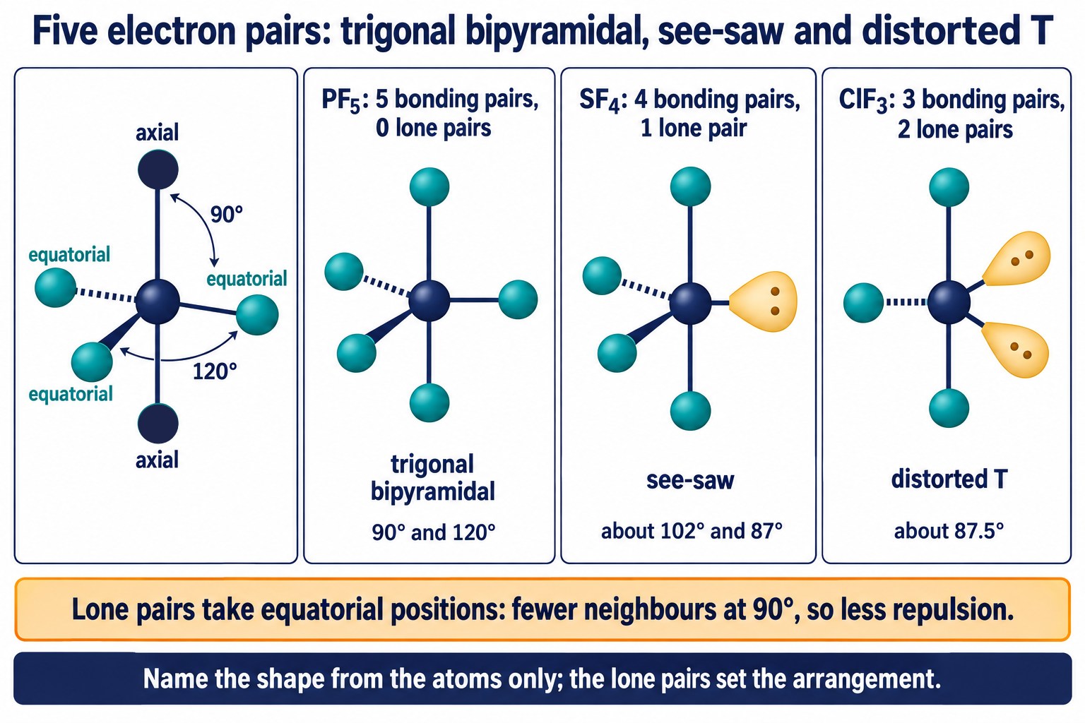 Trigonal bipyramid key with PF₅, SF₄ and ClF₃ sketches showing lone pairs in equatorial positions and their bond angles
