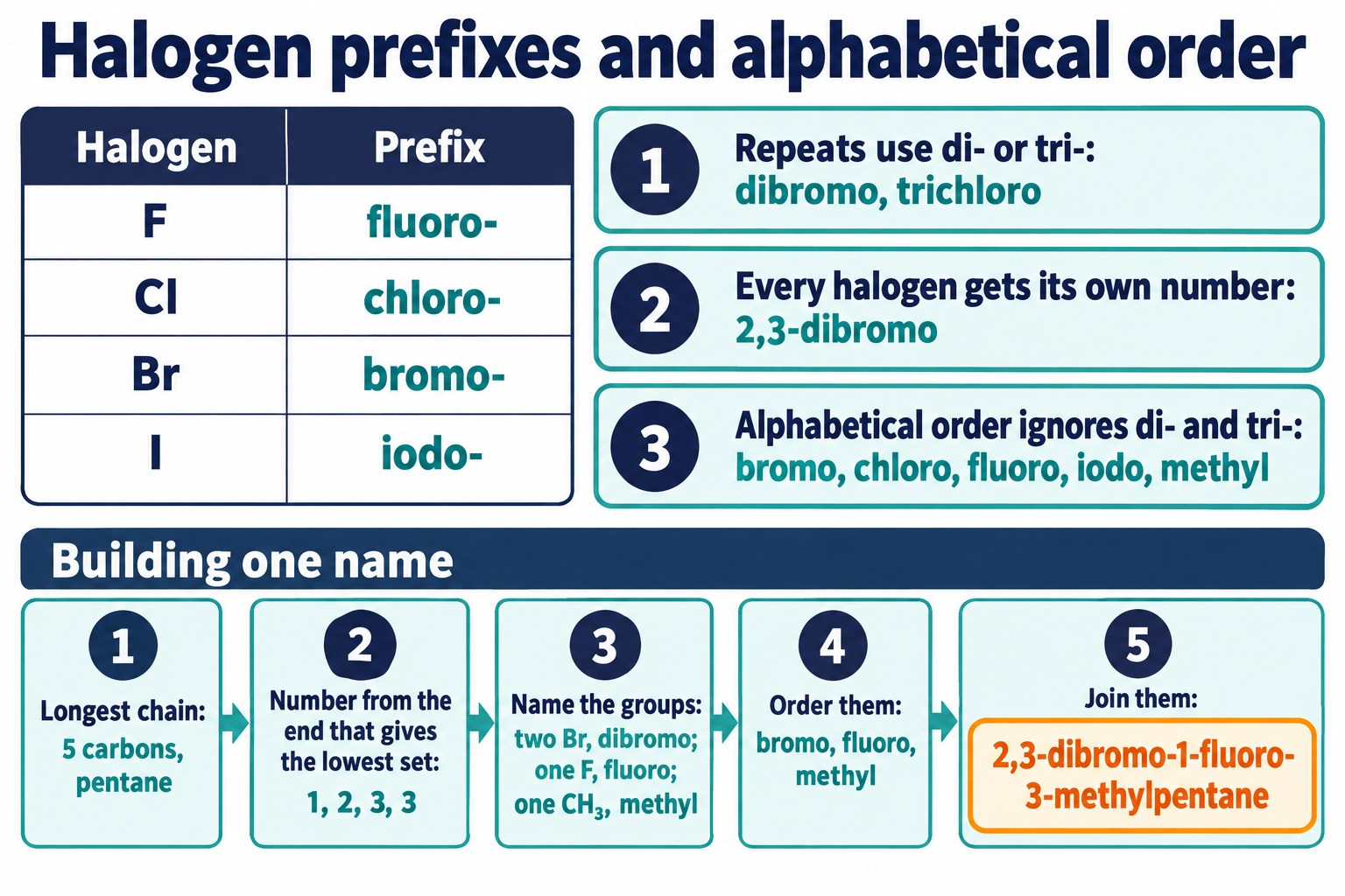 Halogen prefix table, three naming rules and a five-step build-up of the name 2,3-dibromo-1-fluoro-3-methylpentane