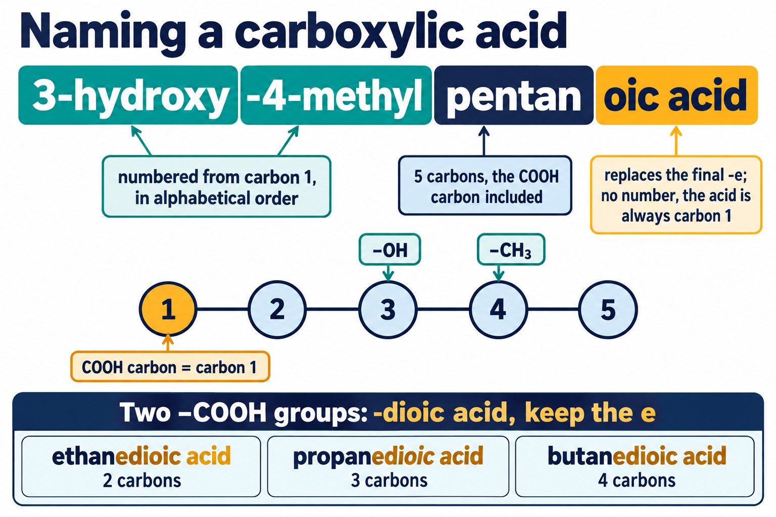 The name 3-hydroxy-4-methylpentanoic acid taken apart, with a numbered five-carbon bead strip and a strip on -dioic acids