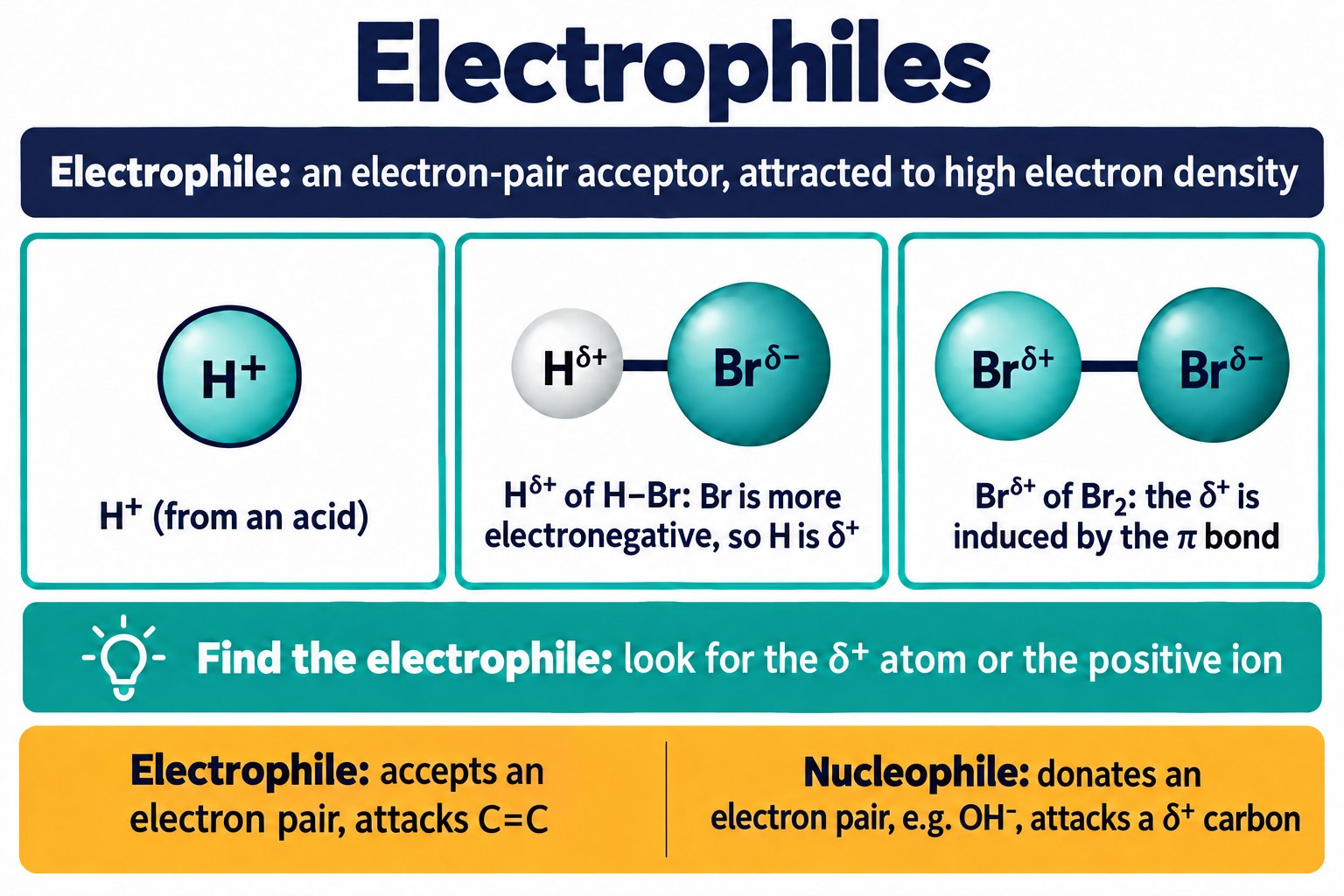 Definition of an electrophile, three examples (H⁺, Hδ+ in HBr, induced Brδ+ in Br₂), and contrast with a nucleophile