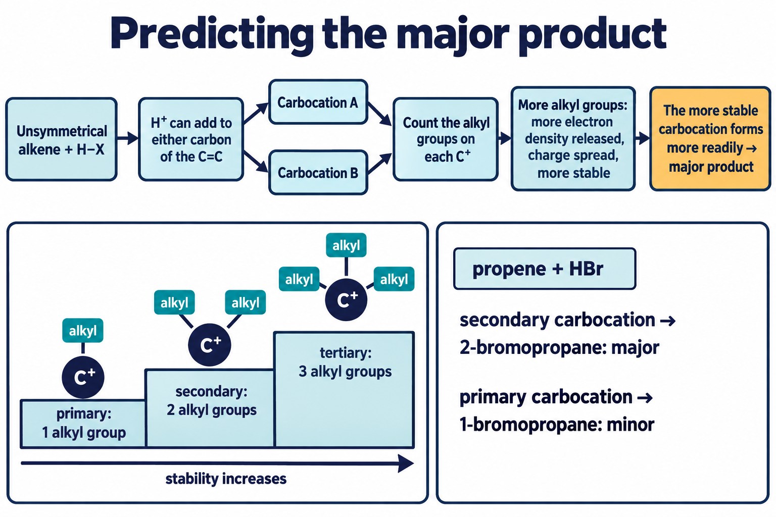 Decision path for an unsymmetrical alkene plus HX: two possible carbocations, count alkyl groups, the more stable one gives the major product