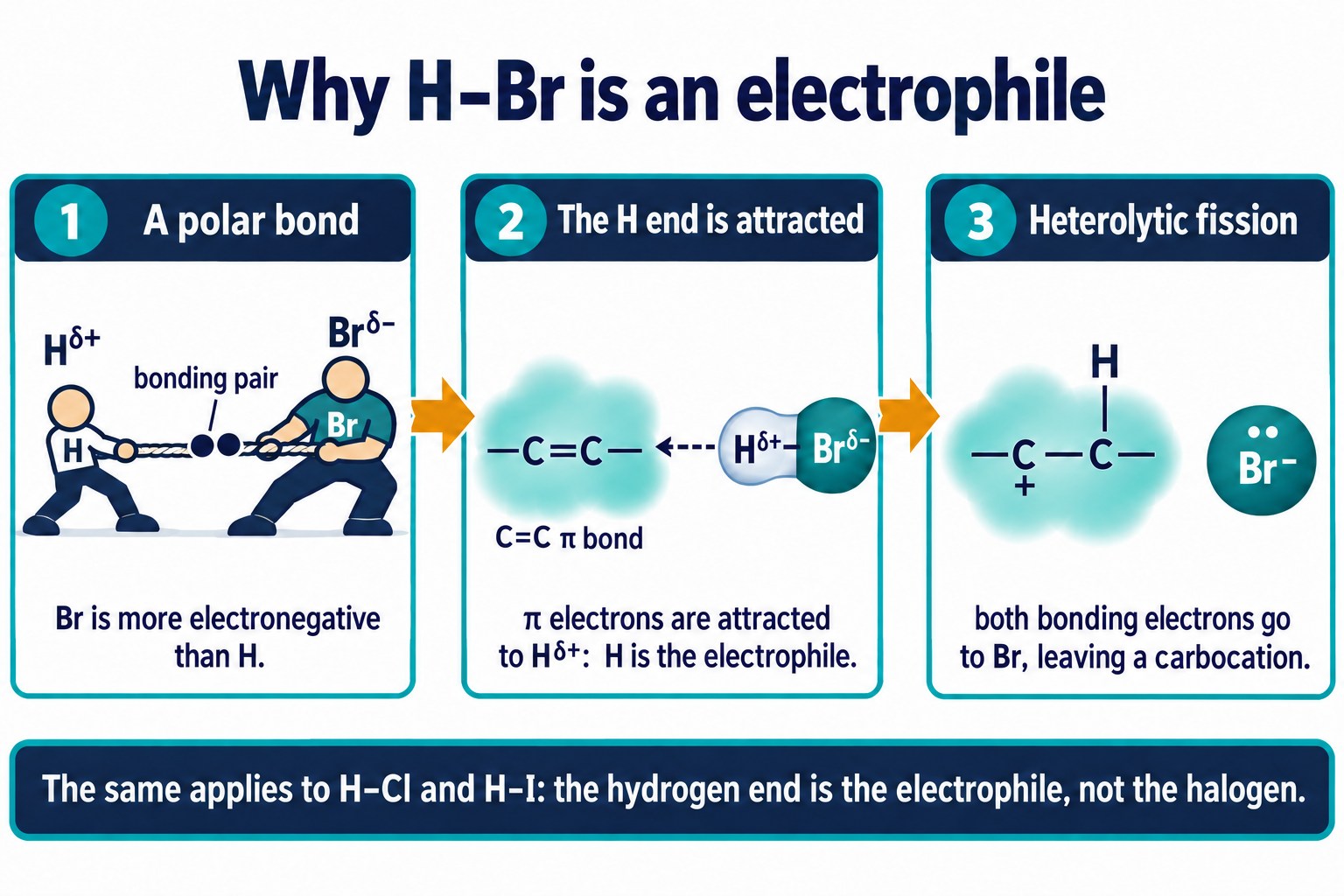 Tug-of-war picture of the polar H–Br bond with Hδ+ and Brδ−, the H end attracted to the π cloud, and heterolytic fission to Br⁻